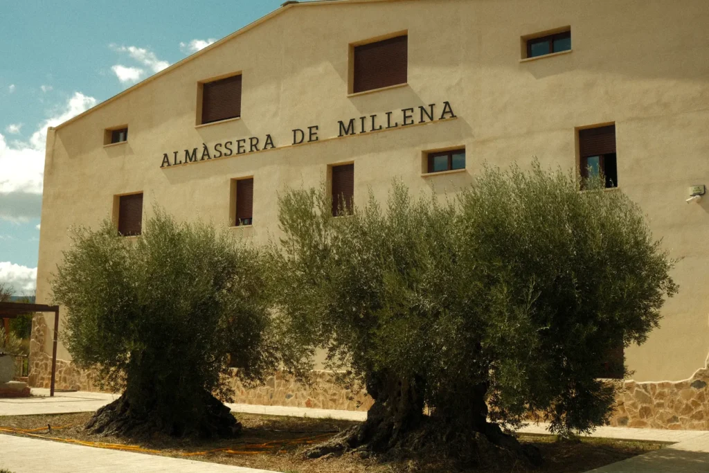 Almàssera de Millena en la ruta RX03 El Santuario de Road Experience, ruta en coche deportivo por Alicante